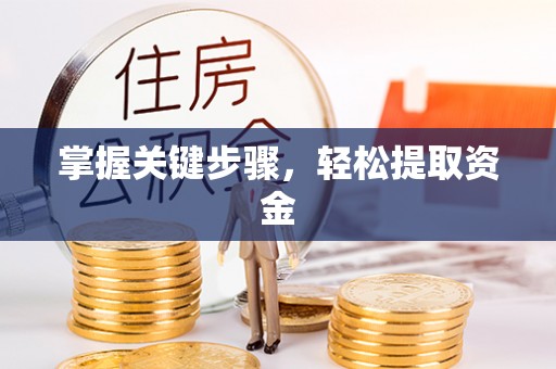 中原掌握关键步骤，轻松提取资金