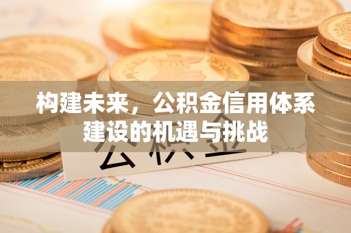中原构建未来，公积金信用体系建设的机遇与挑战