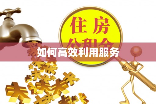 中原如何高效利用服务